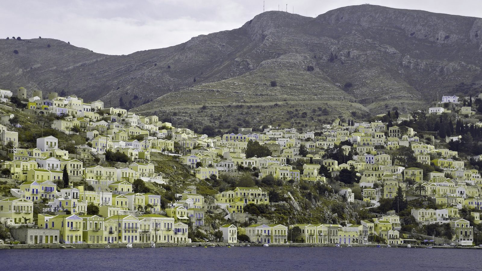 The same photo simulated for deuteranopia — reds and greens collapse into muted browns