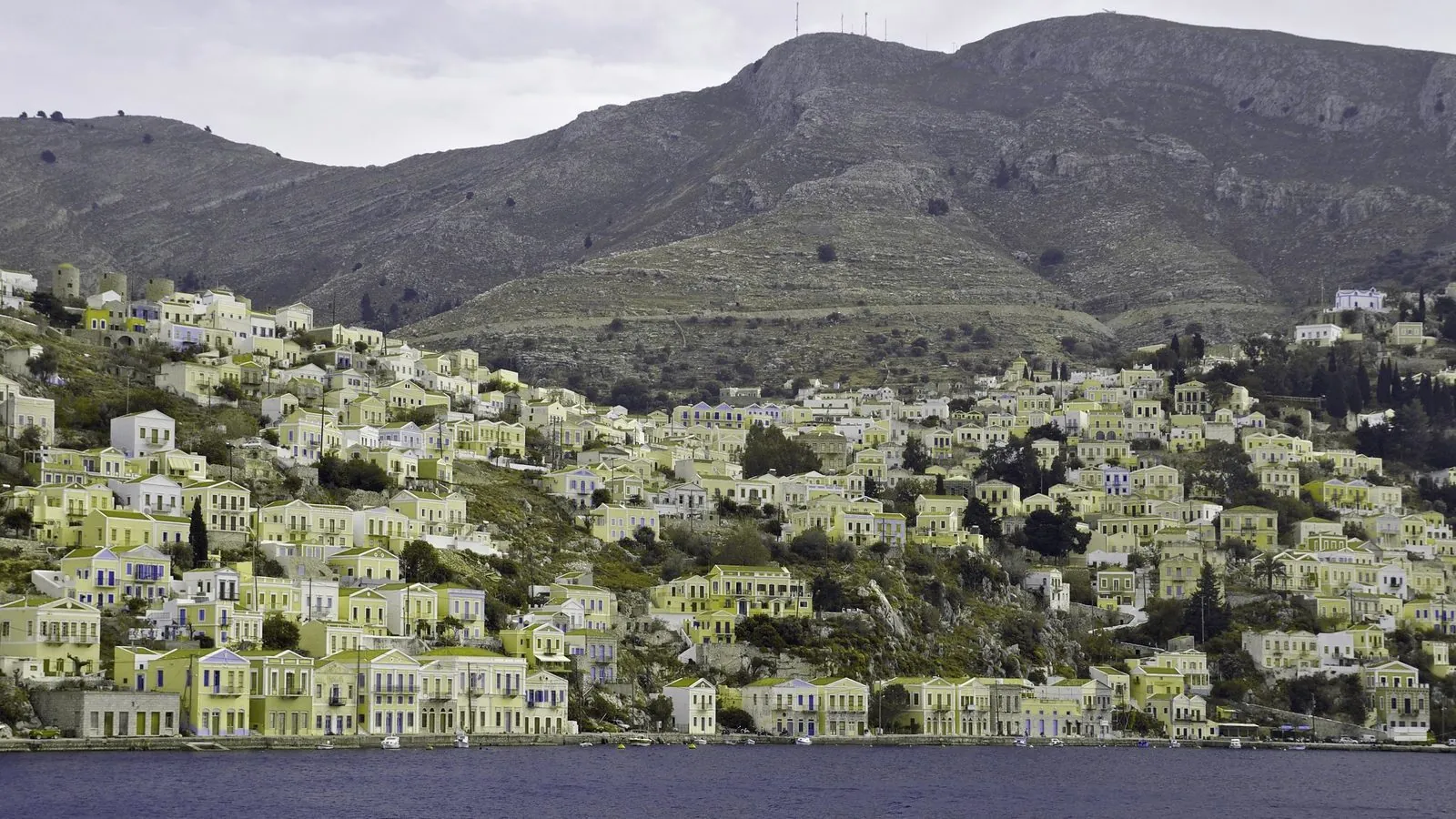 The same photo simulated for deuteranopia — reds and greens collapse into muted browns